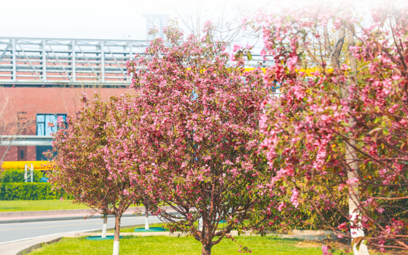 榮程視覺 - 來，一起走進春天里的榮程鋼鐵