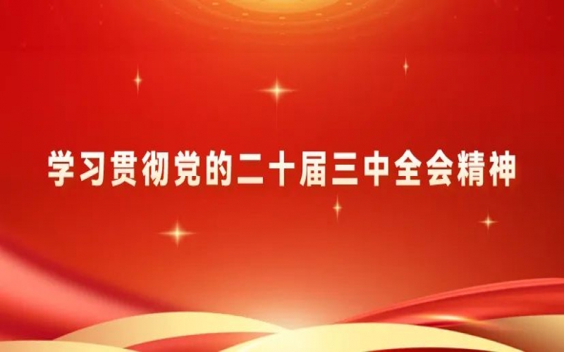 學(xué)習(xí)貫徹黨的二十屆三中全會(huì)精神 - 榮程青年為推進(jìn)中國(guó)式現(xiàn)代化挺膺擔(dān)當(dāng)