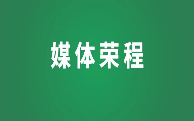 媒體榮程｜榮程向“新”求“質(zhì)”，氫能產(chǎn)業(yè)領(lǐng)跑行業(yè)引關(guān)注
