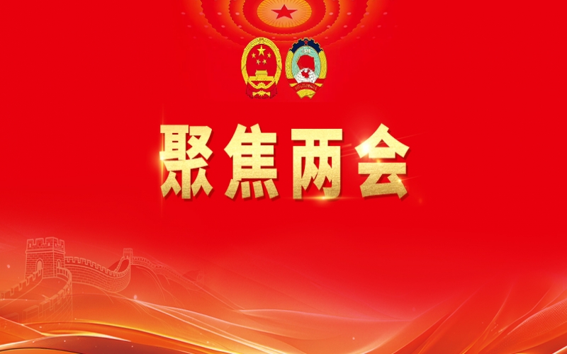 張榮華代表建議：加快培育中國特色世界一流商會